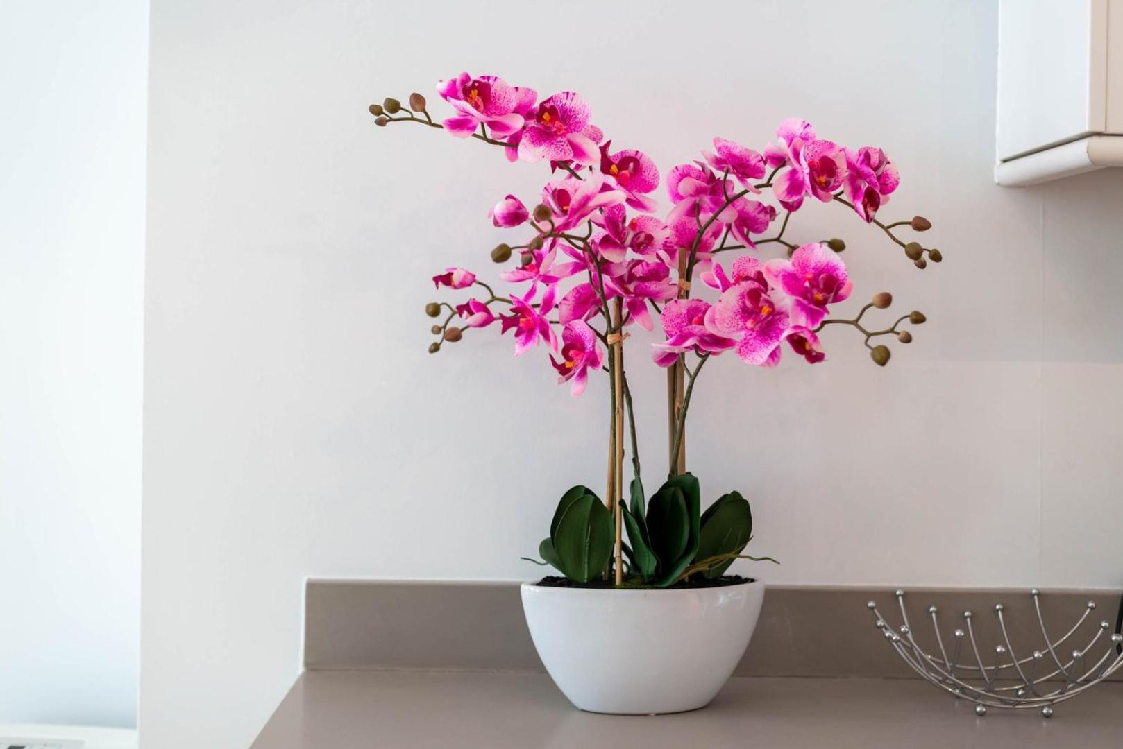 ロンドンGuestready - Stunning Covent Garden 2Br Duplexアパートメント エクステリア 写真